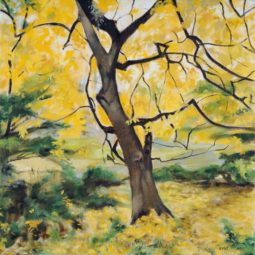 Ellen Maidman-Tanner, EM-T Finearts