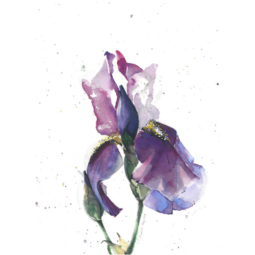 Gloria Tseng Fischer Watercolor