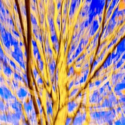 Ethan McMahon Photography